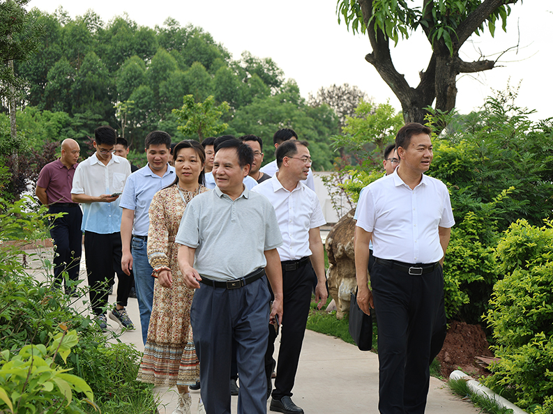  桂平市市长黄德佳等领导到我校指导工作丨 乐鱼网页版登录入口-乐鱼(中国)